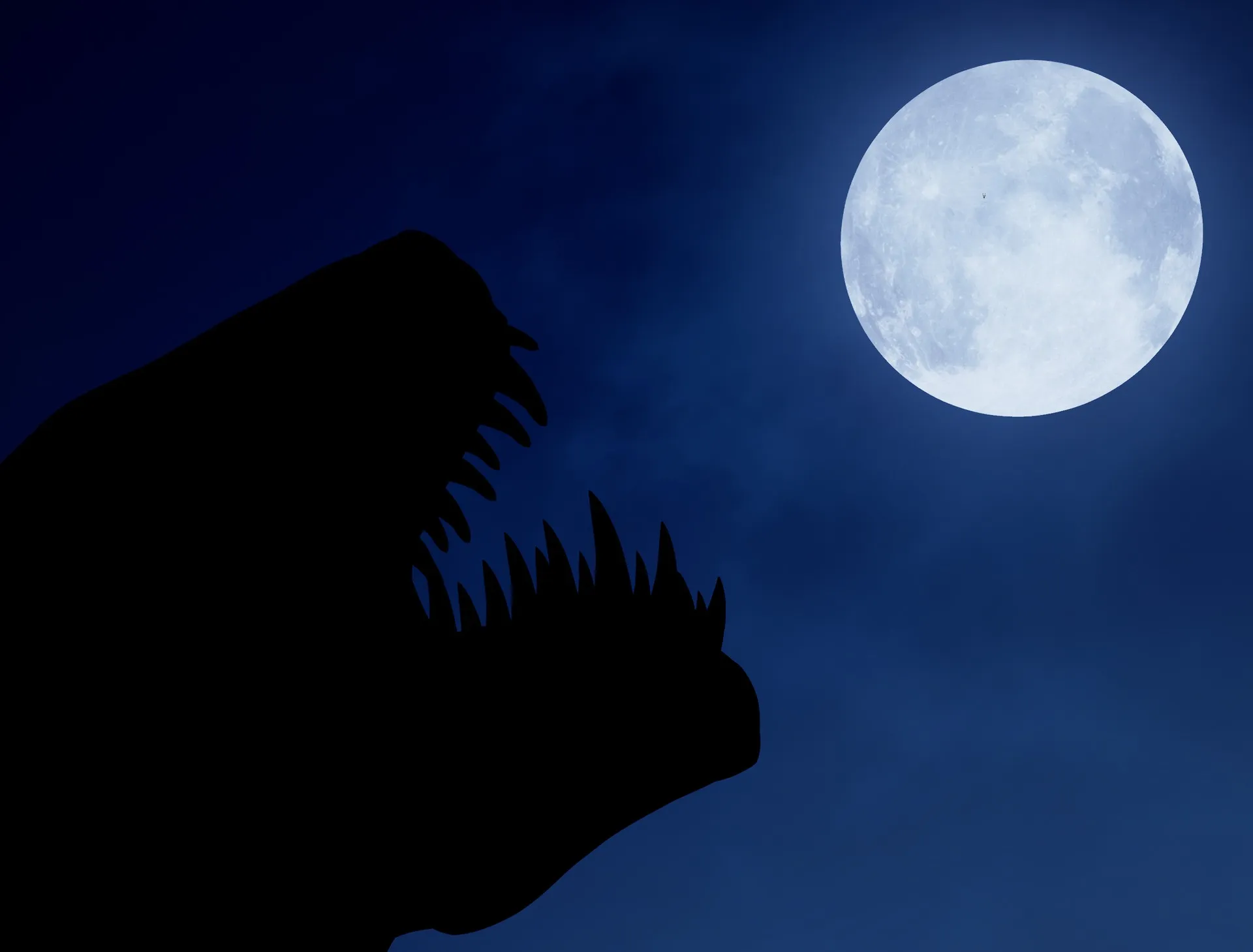 Propagation VR stage 2 - Image 6